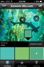 ColorSnap-App-Example-Image